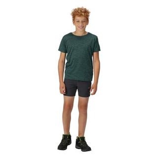 Regatta  Highton Shorts 