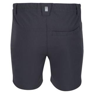 Regatta  Highton Shorts 