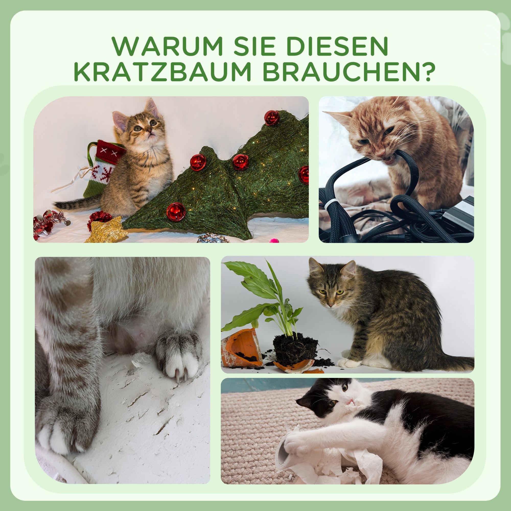 PawHut  Kratzbaum 