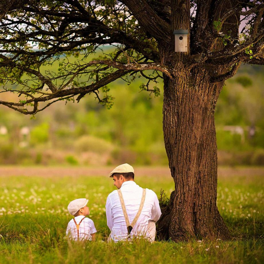 Northio  Nichoir pour oiseaux 