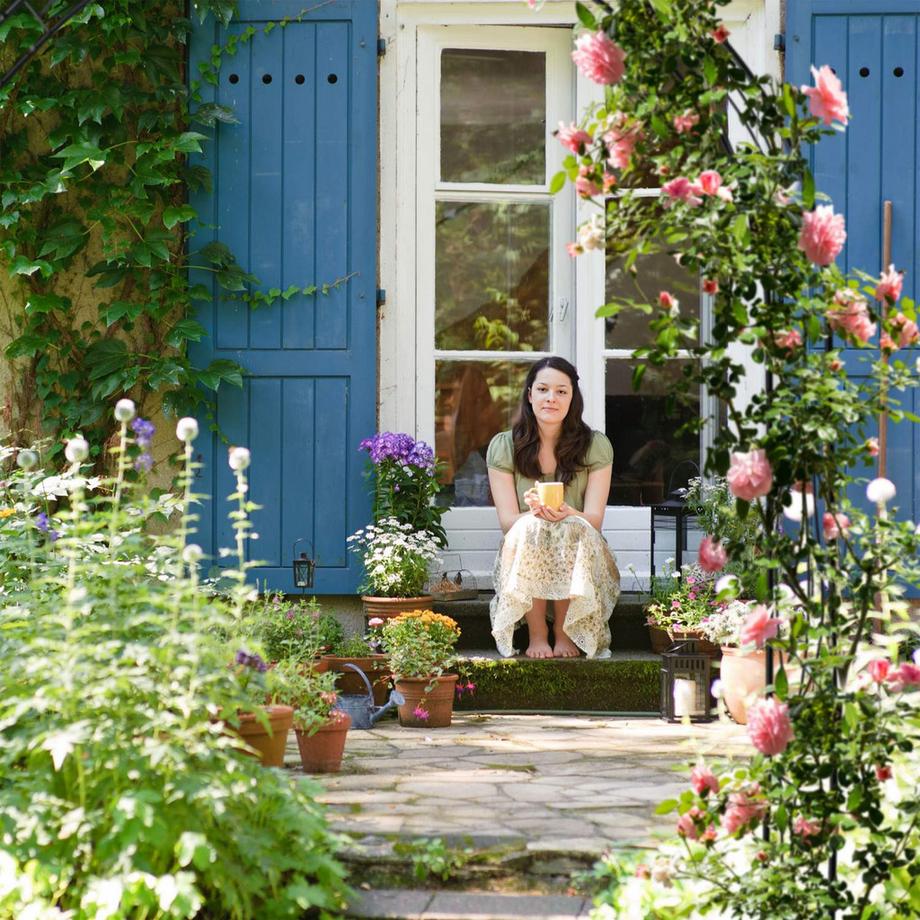 B2X Schwarzer Rosenbogen  