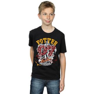 Harry Potter  Gryffindor Seeker TShirt 