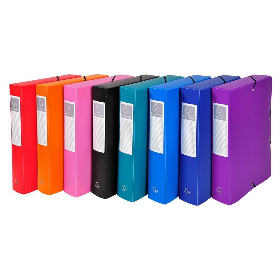 Archivbox aus PP 700µ blickdicht, Rücken 60mm, 25x33cm für DIN A4 - x 8