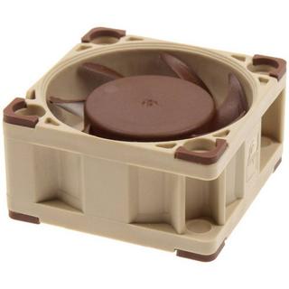 Noctua  NF-A4X20 5V système de refroidissement d’ordinateur Boitier PC Ventilateur 4 cm Beige, Marron 