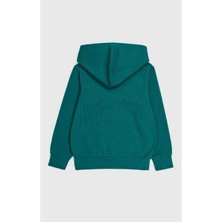 Champion  Hooded Sweatshirt-M 