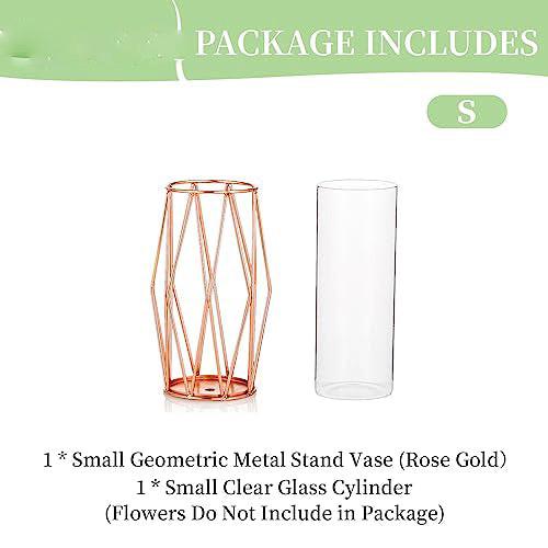 Alopini Vase für Pampasgras, Glas Vase Hohe Bodenvase mit geometrischem Metallrahmen Stand  