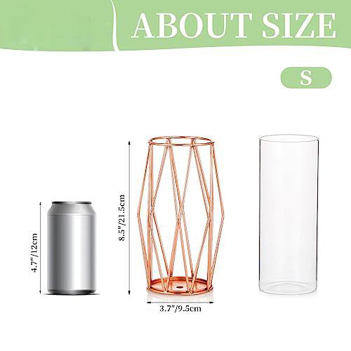 Alopini Vase für Pampasgras, Glas Vase Hohe Bodenvase mit geometrischem Metallrahmen Stand  