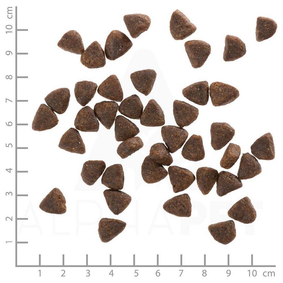 Wolfsblut  Wide Plain Small Breed Pferd & Süsskartoffel 