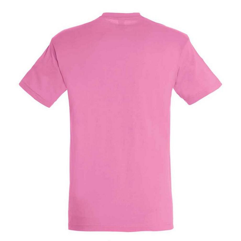 SOLS Regent T-Shirt  