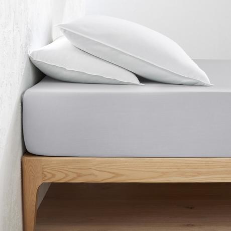 La Redoute Intérieurs Drap housse Scenario Jersey Coton  