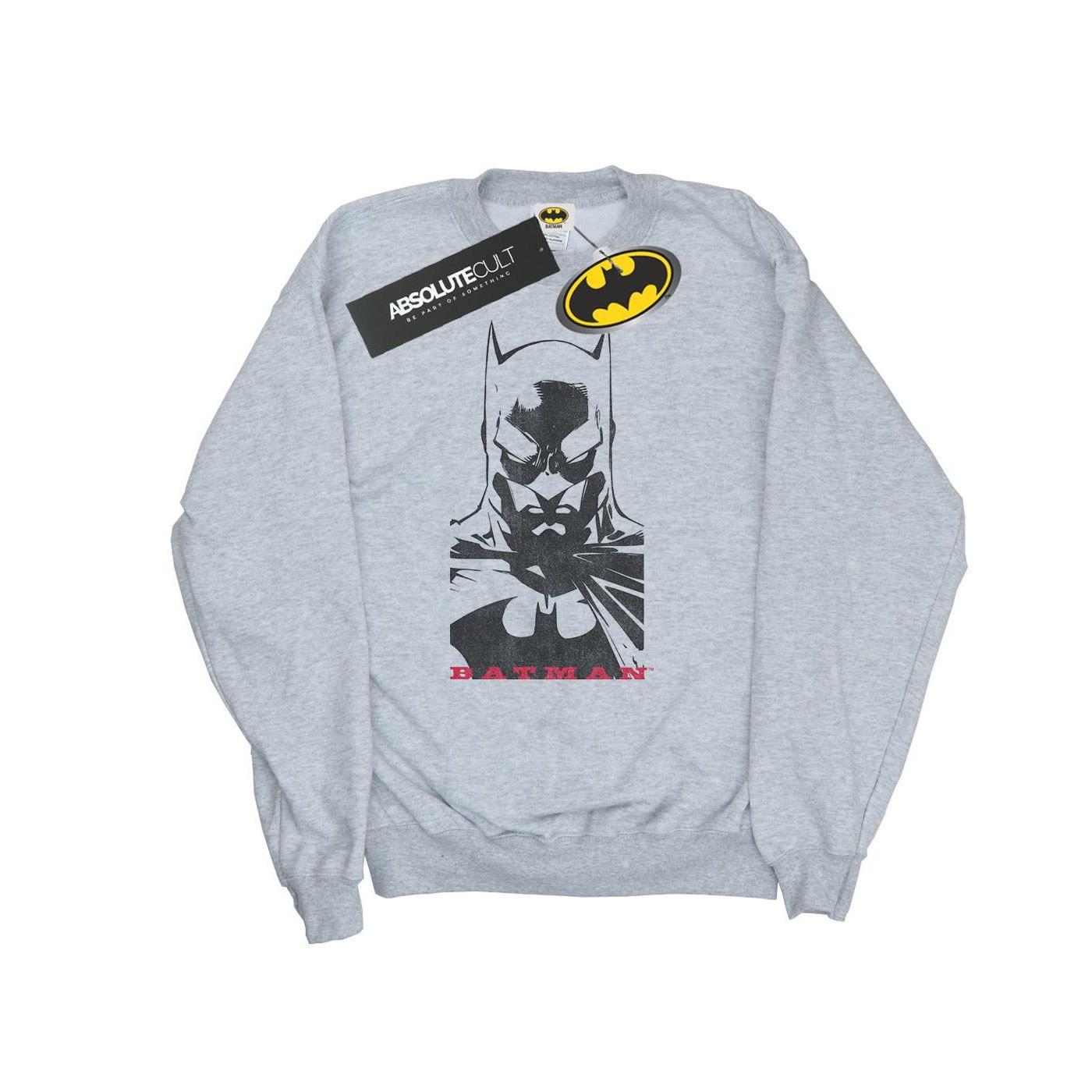 DC COMICS  Sweatshirt 