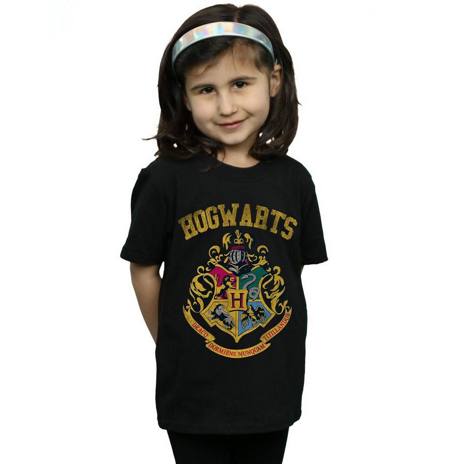 Harry Potter  Tshirt 