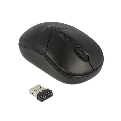 DeLock  12494 souris Ambidextre RF sans fil Optique 1000 DPI 