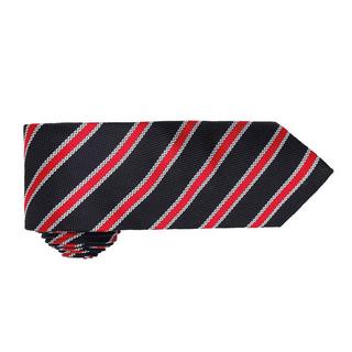 PREMIER Cravate à Rayures  