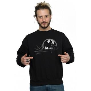 DC COMICS  Sweatshirt 