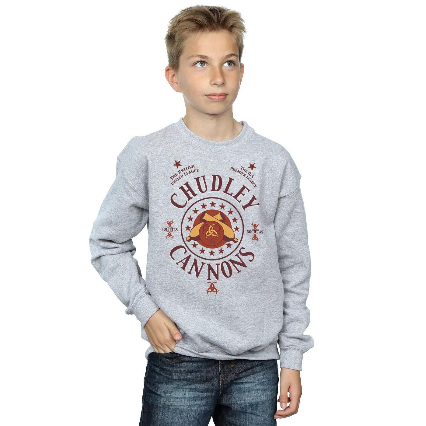 Harry Potter  Chudley Cannons Sweatshirt 