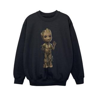 MARVEL  I Am Groot Sweatshirt 