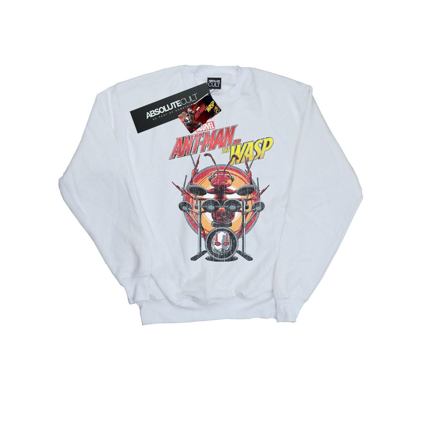 MARVEL  Drummer Ant Sweatshirt 