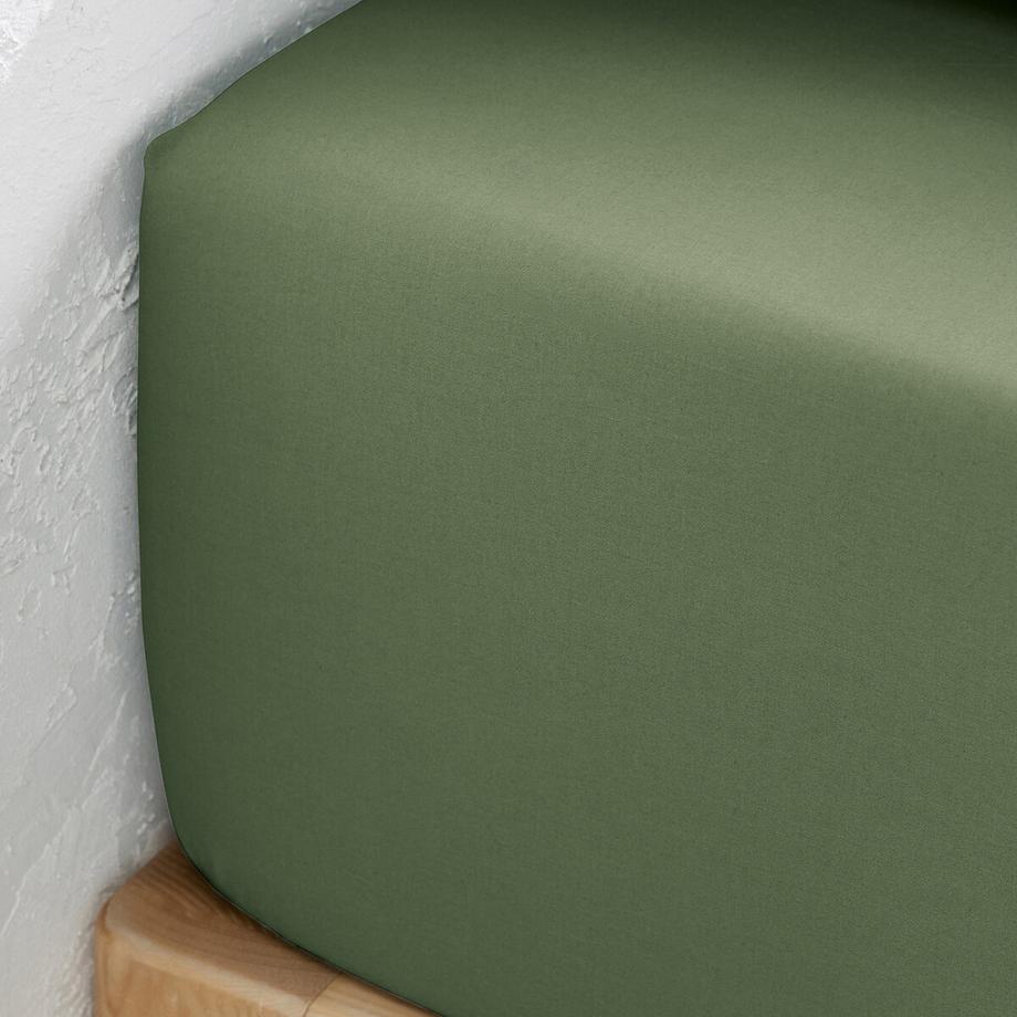 La Redoute Intérieurs Drap housse Scenario  