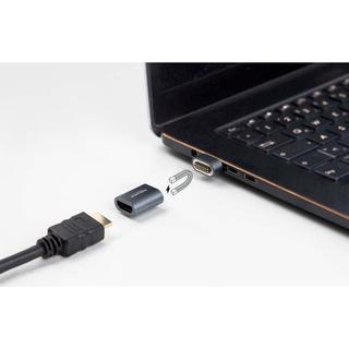 DeLock  Adaptateur  HDMI - HDMI magnétique 