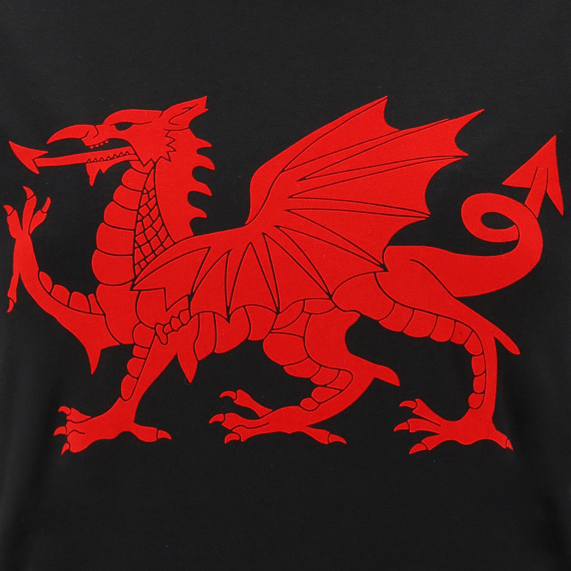 macron  -T-Shirt Pays de Galles Rugby XV 202021 