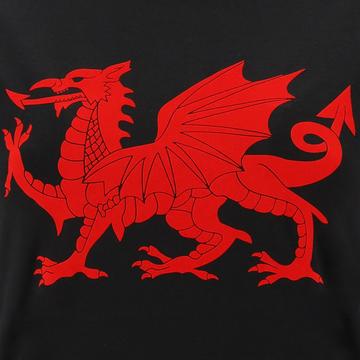 -T-Shirt Pays de Galles Rugby XV 202021