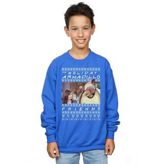 Friends  Holiday Armadillo Sweatshirt 