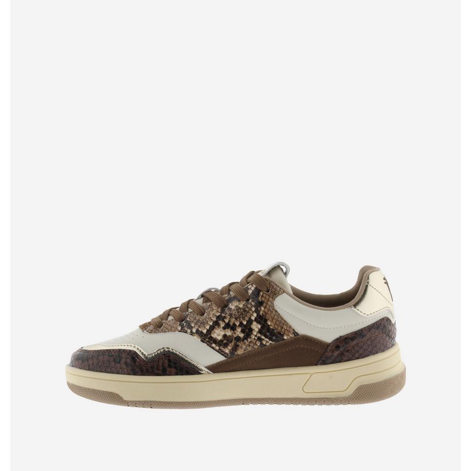 Victoria C80 Snake Sneakers  