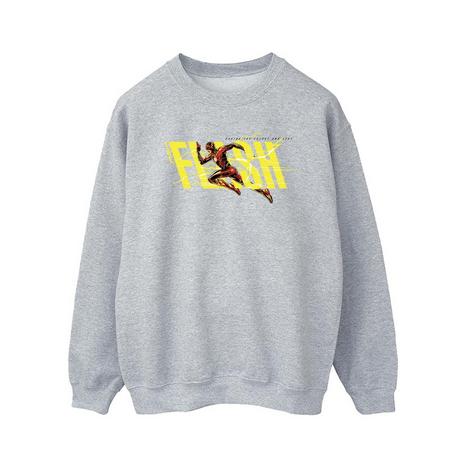 DC COMICS  Sweatshirt 