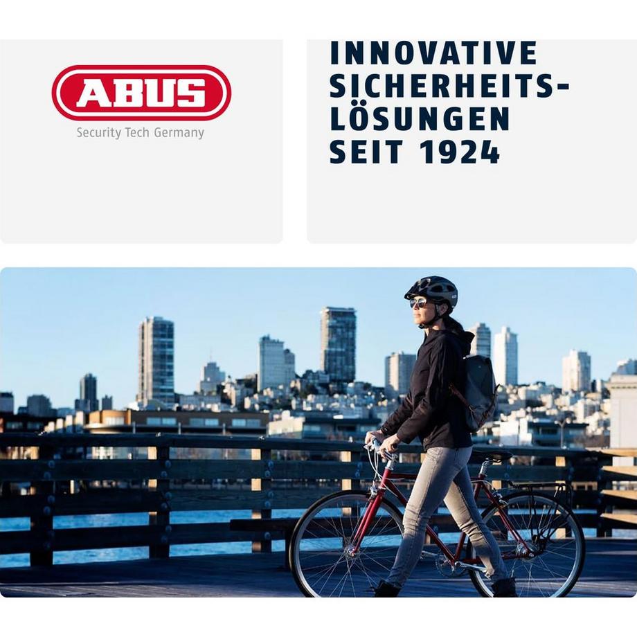 Abus  cadenas à chaîne Tresor 6807C 