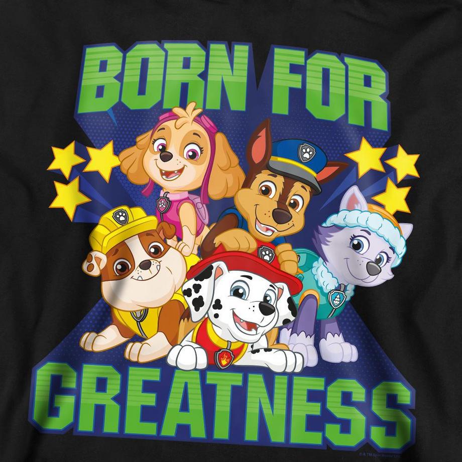 PAW PATROL Born For Greatness Sweatshirt  