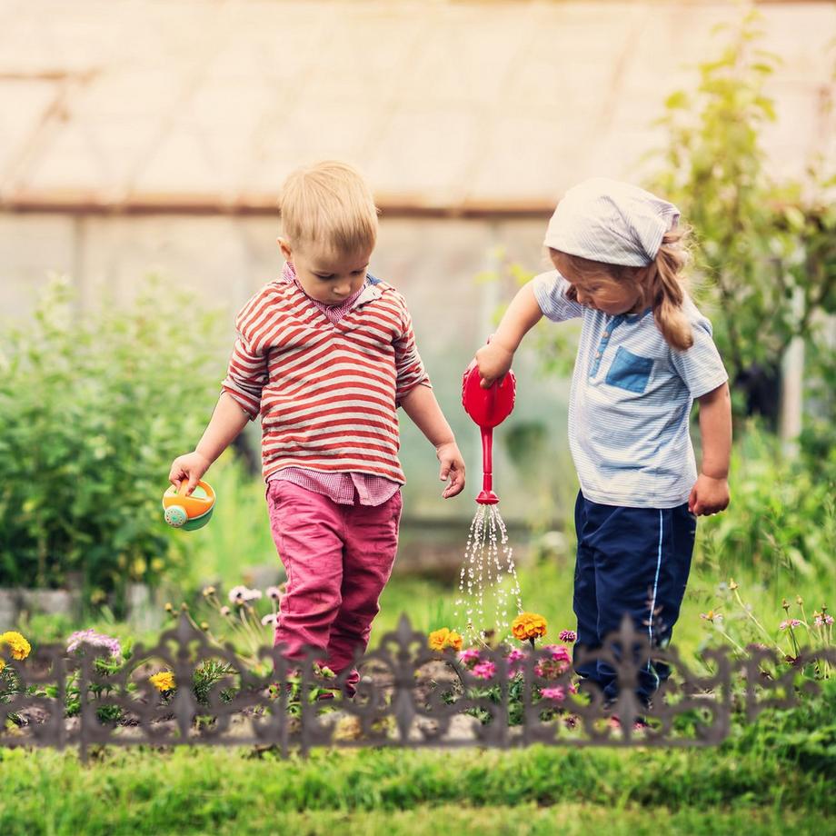 B2X Runde Rollplatte für Topfpflanzen  