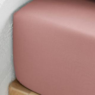 La Redoute Intérieurs Drap housse Scenario  