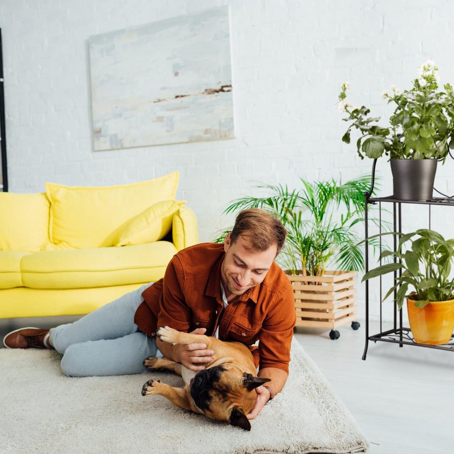 B2X Support à fleurs en métal 2 étagères  