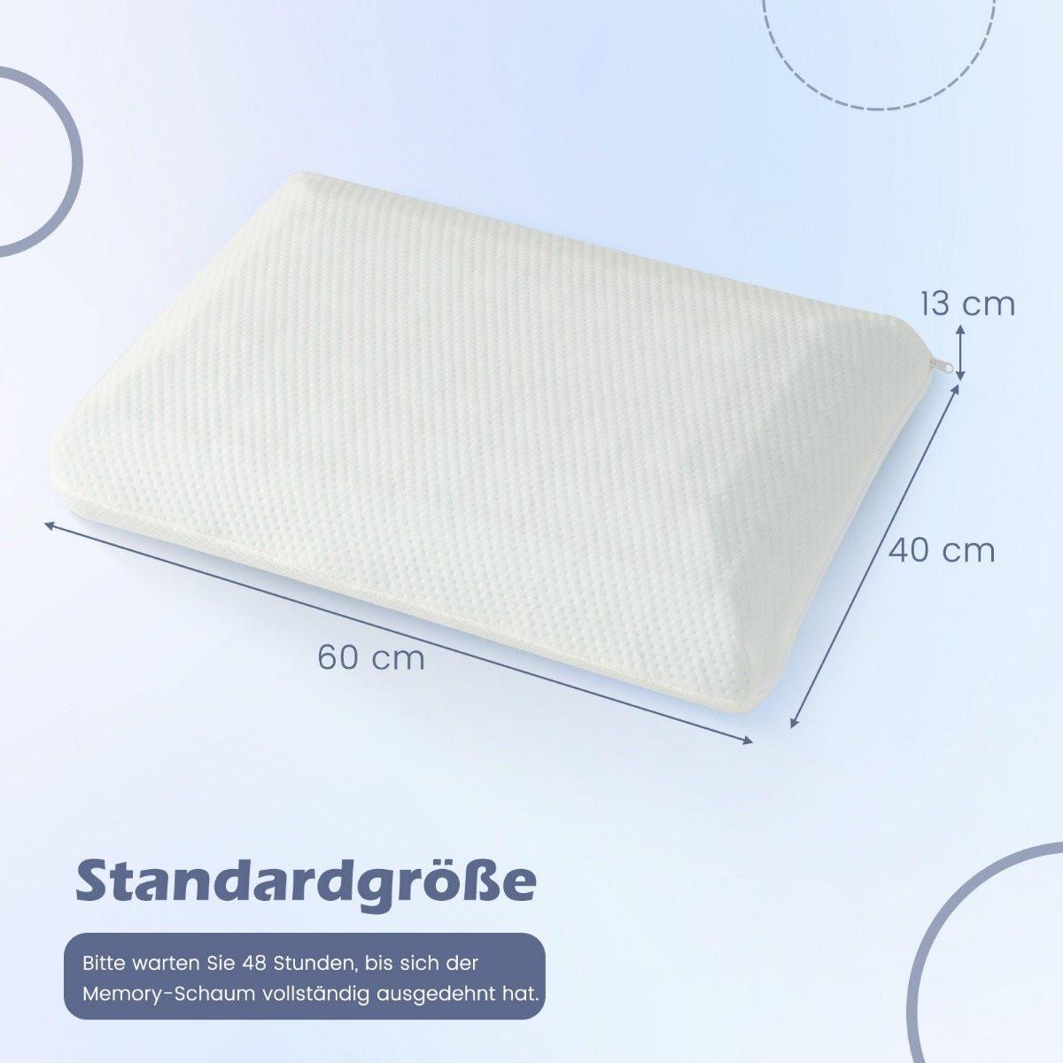 Northio Set di 2 Cuscini al Carbone Attivo di Bambù 40 x 60 cm  