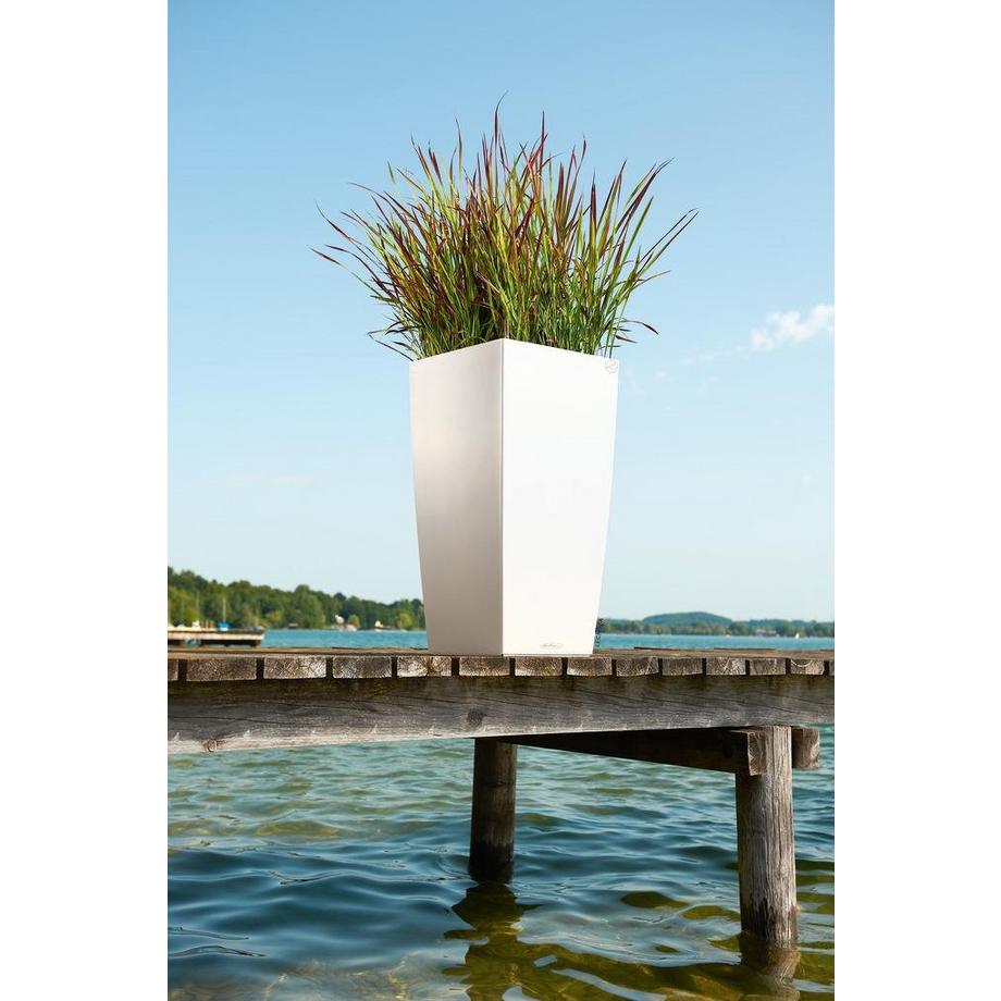 Lechuza Trend Collection CUBICO Color all-in-one  