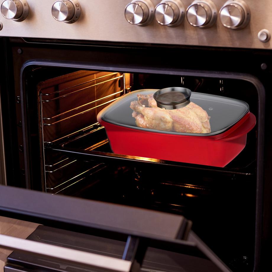 Northix Rôtissoire avec couvercle et bouton d'assaisonnement  