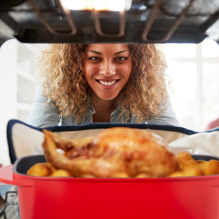 Northix Rôtissoire avec couvercle et bouton d'assaisonnement  