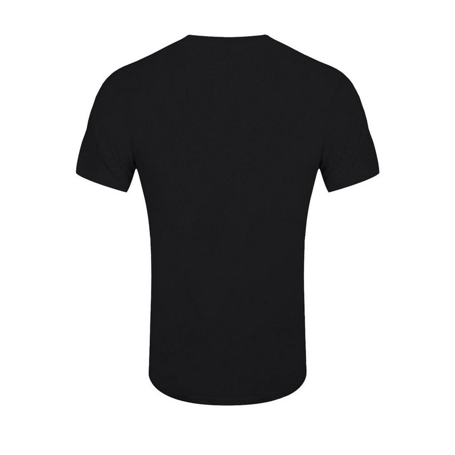 Jurassic Park I Survived T-Shirt  