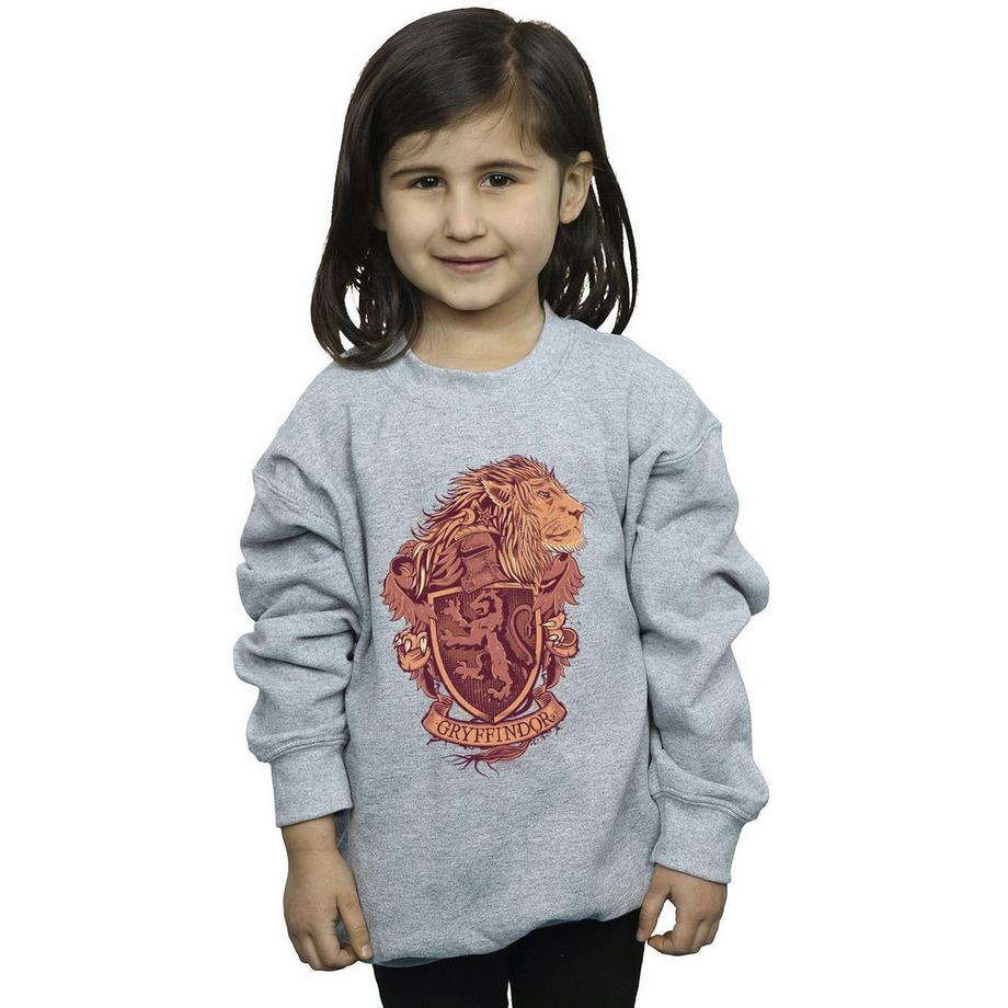 HARRY-POTTER  Sweat GRYFFINDOR 