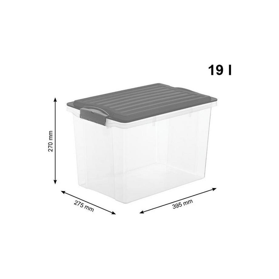 rotho  Compact (19 l) 