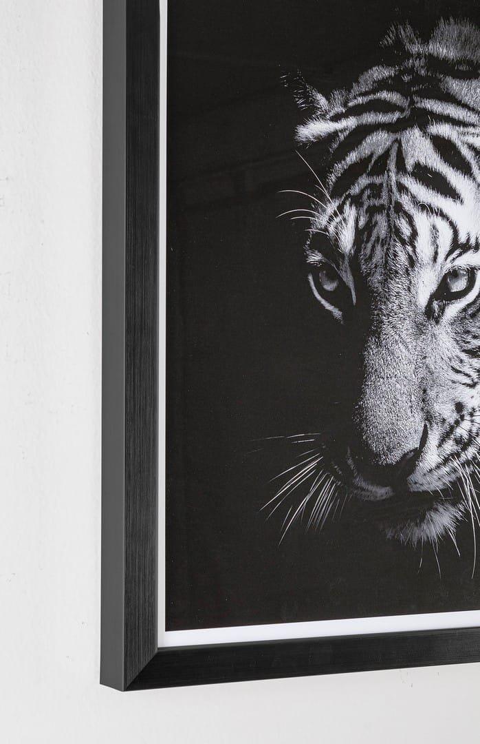 mutoni Bild Evidence Tiger 43x43  