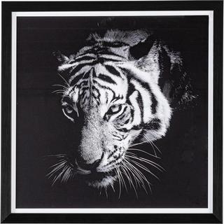 mutoni Bild Evidence Tiger 43x43  