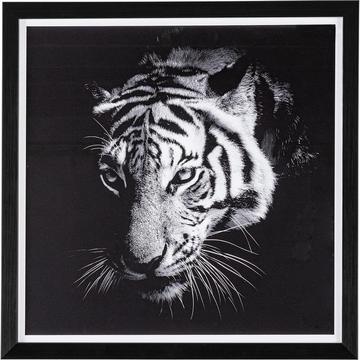 Prova dell'immagine Tigre 43x43
