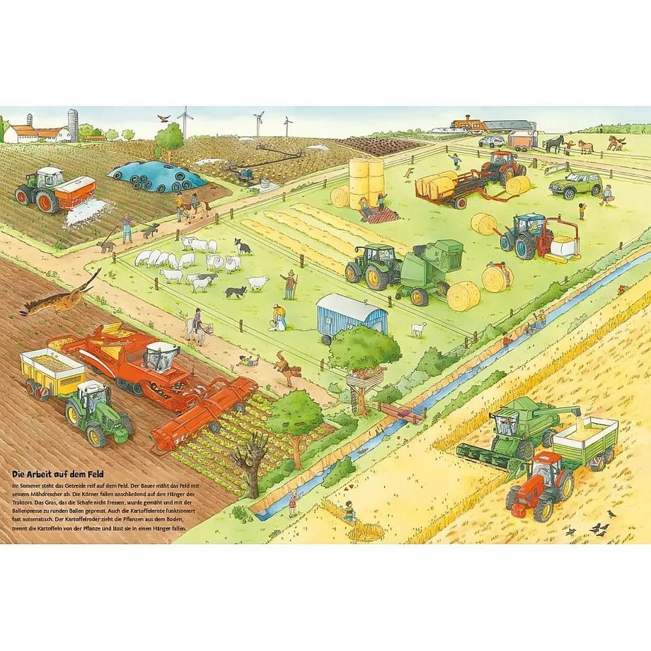 Traktor, Kühe & Bauernhof: Das große Wimmelbuch vom Landleben Braun, Christina; Coenen, Sebastian (Illustrationen) Gebundene Ausgabe 