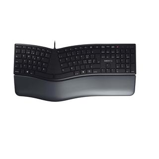 Cherry  CHERRY KC 4500 ERGO Tastatur USB QWERTZ Schweiz Schwarz 