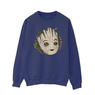 MARVEL  I Am Groot Sweatshirt 