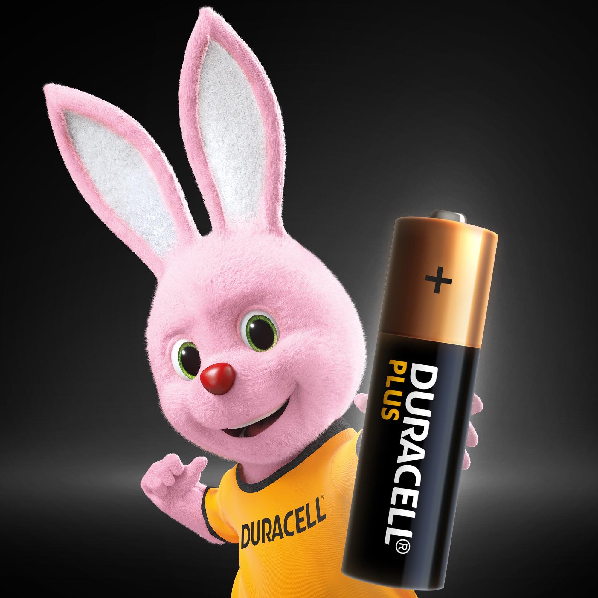 DURACELL  Duracell 10x AA 