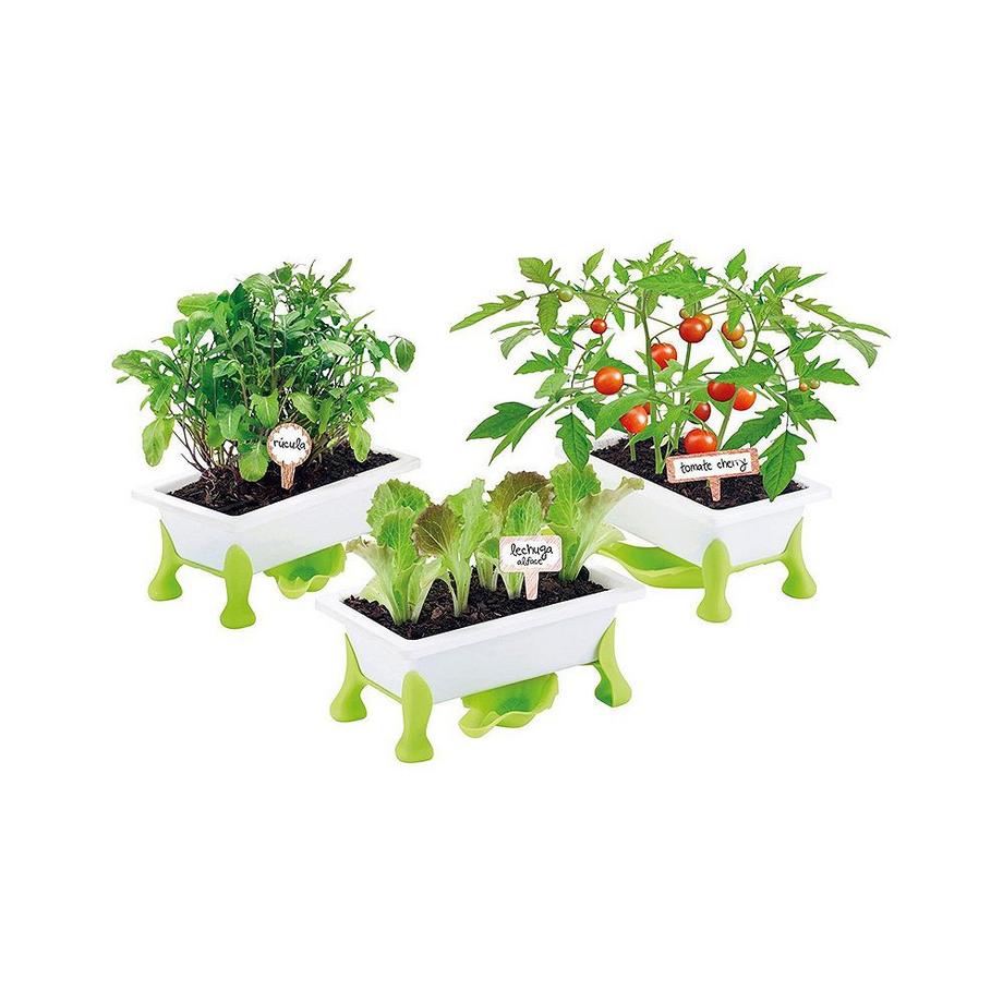 Educa  Grüner Daumen Salat (DE) 