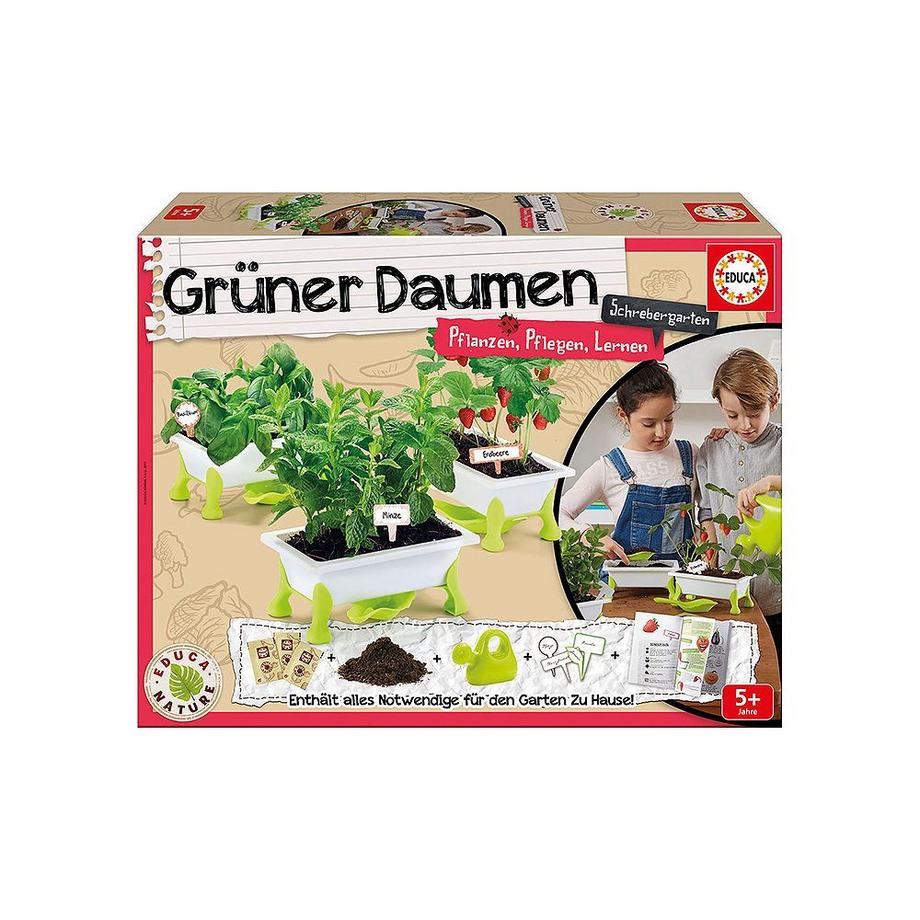 Educa  Grüner Daumen Salat (DE) 